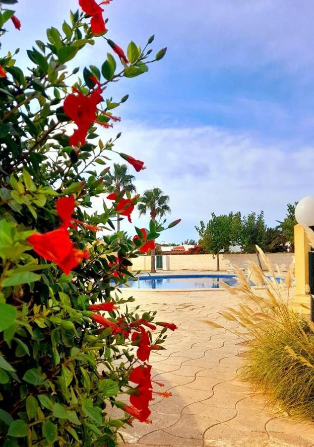 דירות קאלה אן בלאנס Apartamento Con Piscina En Ciudadela, Cala En Blanes מראה חיצוני תמונה